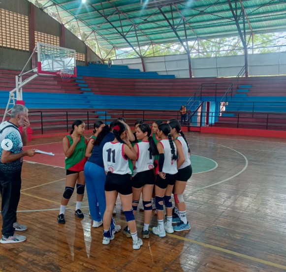 Voleibol